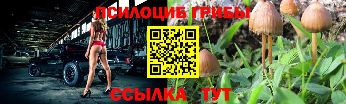 хочу   Галлюциногенные грибы мицелий  Вход с VPN  Чита 